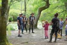 Balade marais de la Leyre