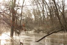 Petite Leyre en crue